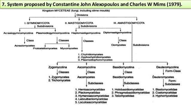 Classification of Fungi by Alexopoulus and Mims (1979)